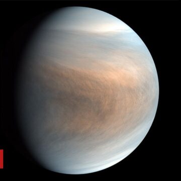 Is there life floating in the clouds of Venus?