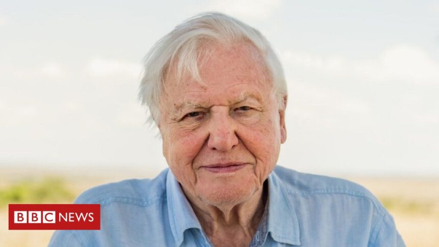 Sir David Attenborough joins Instagram to warn ‘the world is in trouble’