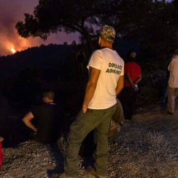 Bosbranden op Cyprus eisen vier levens