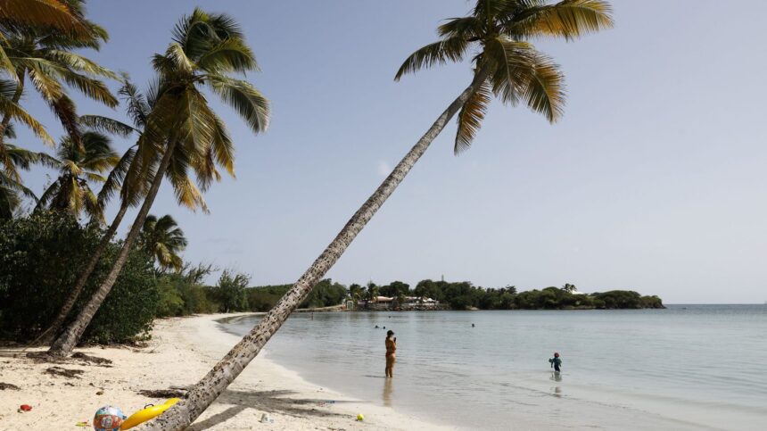 Covid-19 : le préfet de Martinique appelle les touristes à “quitter le territoire” car “ils ne sont pas en séc