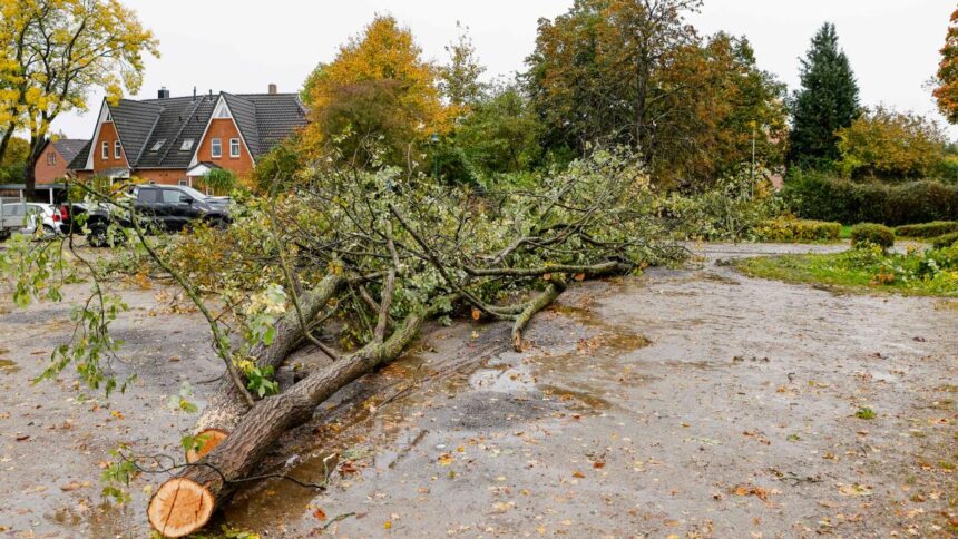 Sturm Ignatz: Zugausfälle bei der Bahn, Orkanböen und Tornado-Warnung