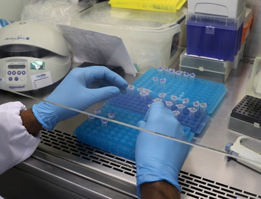 Ministério reduz de 10 para 5 dias o isolamento para pacientes de Covid com teste negativo e sem sintoma Ministério reduz de 10 para 5 dias o isolamento para pacientes de Covid com teste negativo e sem sintoma