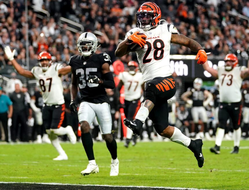 Wild Card Playoffs: Cincinnati Bengals vs Las Vegas Raiders 1/15/22 NFL Picks, Predictions, Odds Wild Card Playoffs: Cincinnati Bengals vs Las Vegas Raiders 1/15/22 NFL Picks, Predictions, Odds