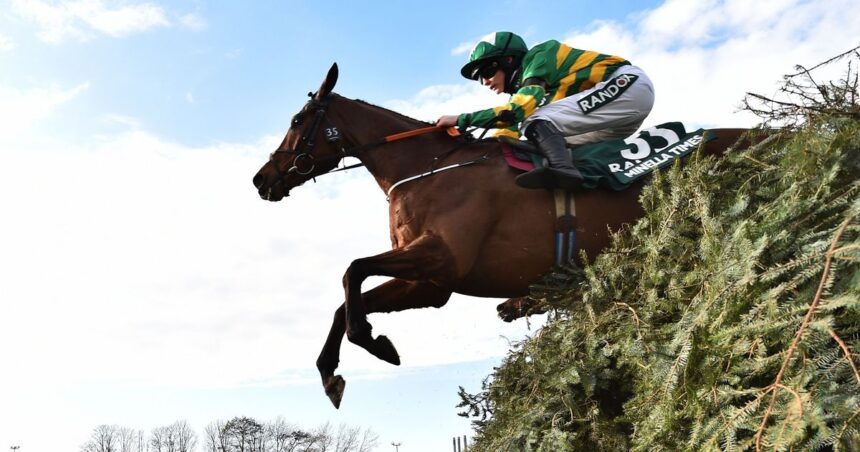 Grand National 2022 runners and riders: Full list of horses and odds for Aintree race