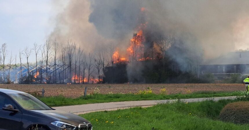 Brand in schuren Erichem slaat over naar huizen honderden meters verderop