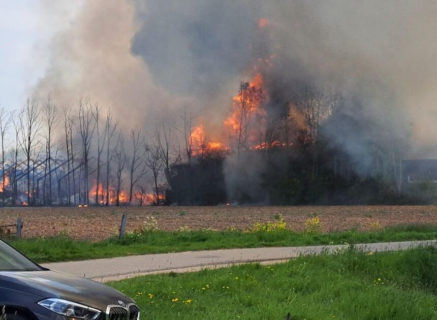 Brand in schuren Erichem slaat over naar huizen honderden meters verderop