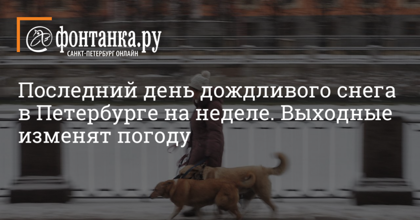 Какая погода будет в Петербурге 23 декабря 2022 г. и в выходные