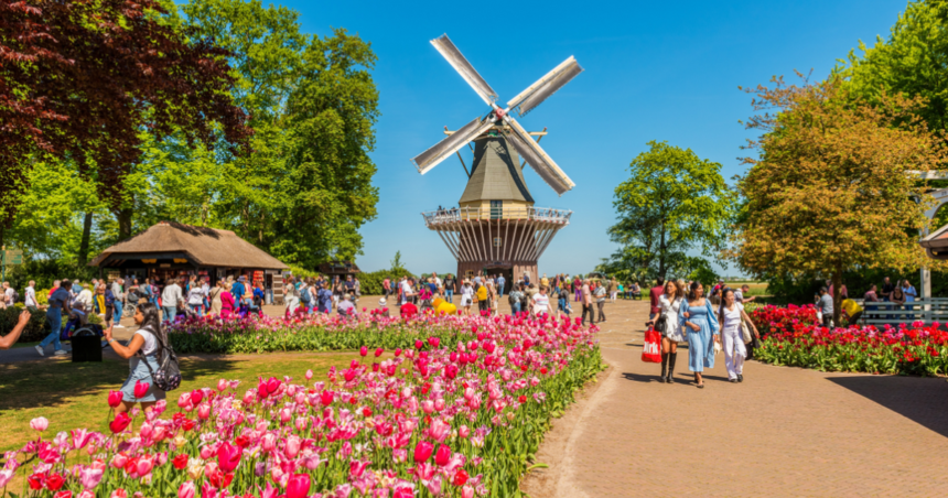 March 2025: 7 things expats in the Netherlands need to know