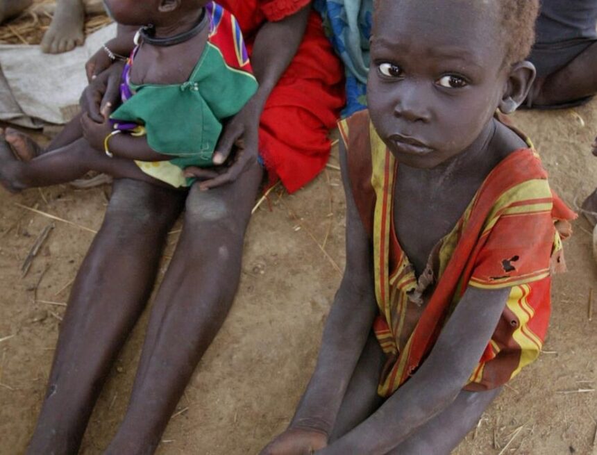 « Les gens meurent déjà » ou les coulisses de l’impuissance onusienne