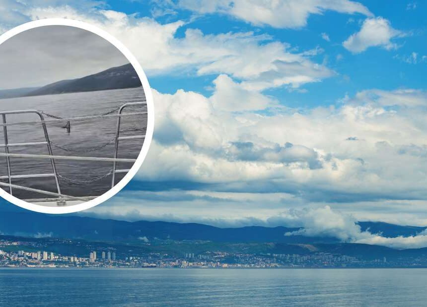 „Rezept für Herzinfarkt“: Riesen-Hai vor Küste von Kroatien entdeckt