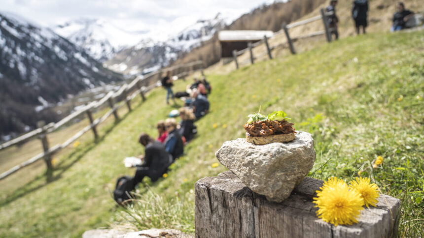 Un’esperienza gourmet unica a 1816 metri: Livigno incanta con Snow Food Mattias