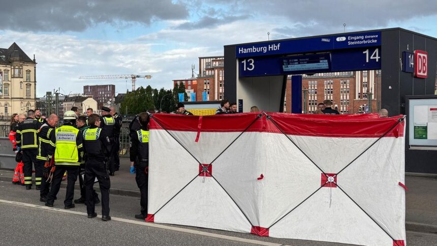 At least 12 injured in knife attack at Hamburg railway station