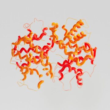 Who Wants to Live Forever Part Two: When Healthspan Blurs into Lifespan