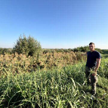 Oltre mille firme per chiedere la messa in sicurezza del Santerno prima dell’autunno