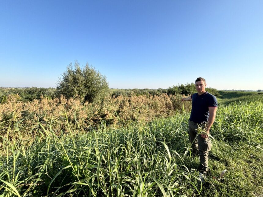 Oltre mille firme per chiedere la messa in sicurezza del Santerno prima dell’autunno