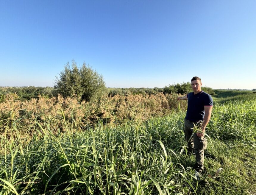 Oltre mille firme per chiedere la messa in sicurezza del Santerno prima dell’autunno
