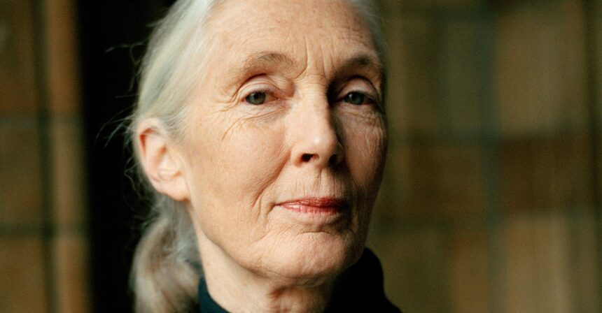 Jane Goodall’s Second-Greatest Talent