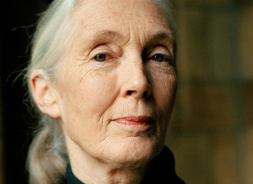 Jane Goodall’s Second-Greatest Talent Jane Goodall’s Second-Greatest Talent