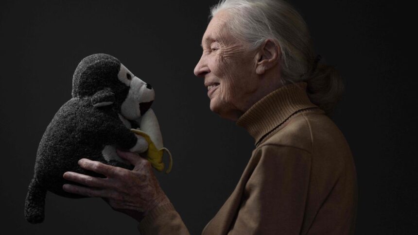 Jane Goodall: The other side