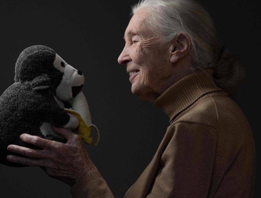 Jane Goodall: The other side Jane Goodall: The other side
