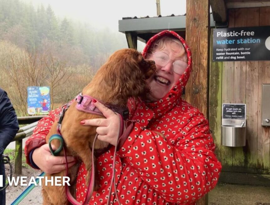 UK Weather: 50 days of rain in Cardinham to be confirmed by Met Office UK Weather: 50 days of rain in Cardinham to be confirmed by Met Office