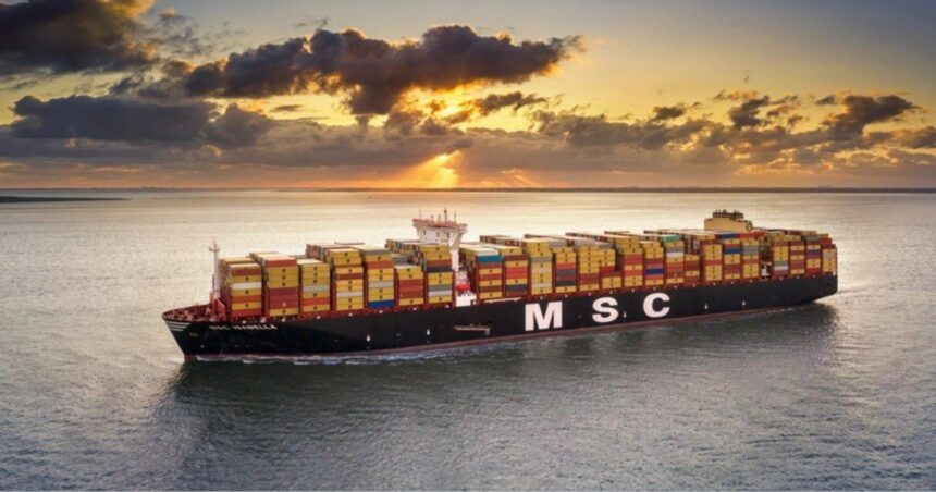 Al Jazeera: Azienda leader nelle spedizioni facilita il commercio degli USA con gli insediamenti illegali israeliani