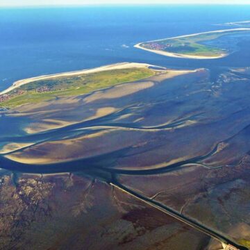 Fehler in der Matrix oder Absicht?