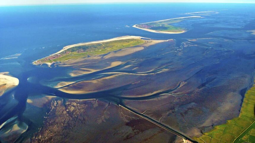 Fehler in der Matrix oder Absicht?