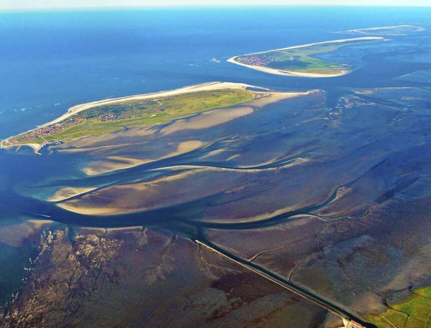 Fehler in der Matrix oder Absicht? Fehler in der Matrix oder Absicht?