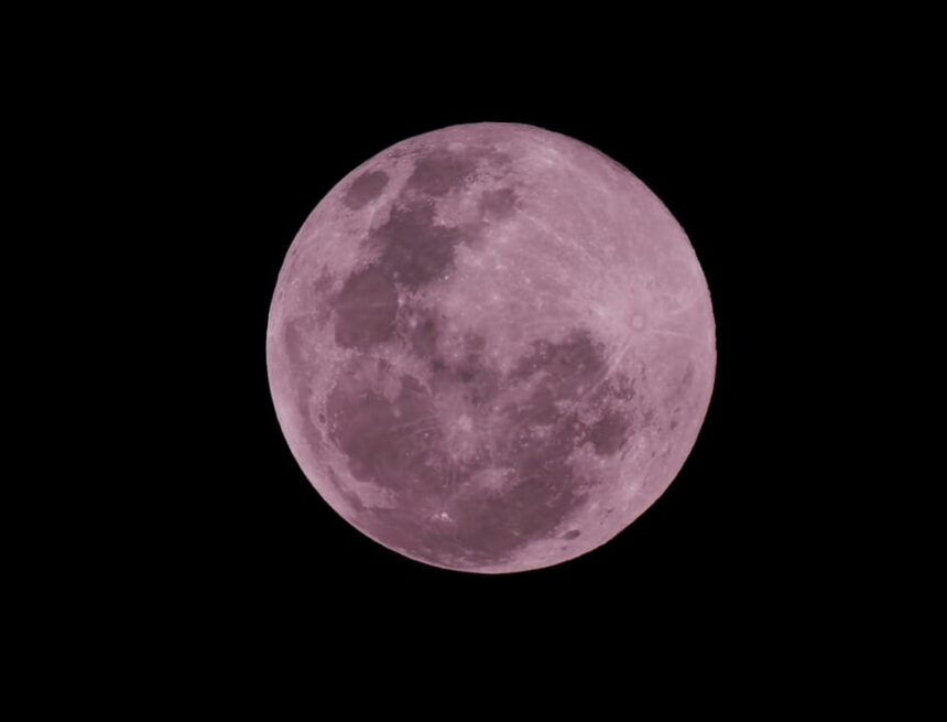 La Luna Rosa nel cielo di aprile: tra gli imperdibili eventi astronomici anche le stelle cadenti La Luna Rosa nel cielo di aprile: tra gli imperdibili eventi astronomici anche le stelle cadenti