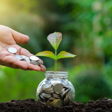 Where to put your green money: AP, Uttar Pradesh and Rajasthan stand out in India’s energy transition