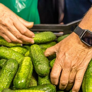 Regionale Spezialitäten: Gurkentag präsentiert Spreewälder Spezialitäten Regionale Spezialitäten: Gurkentag präsentiert Spreewälder Spezialitäten