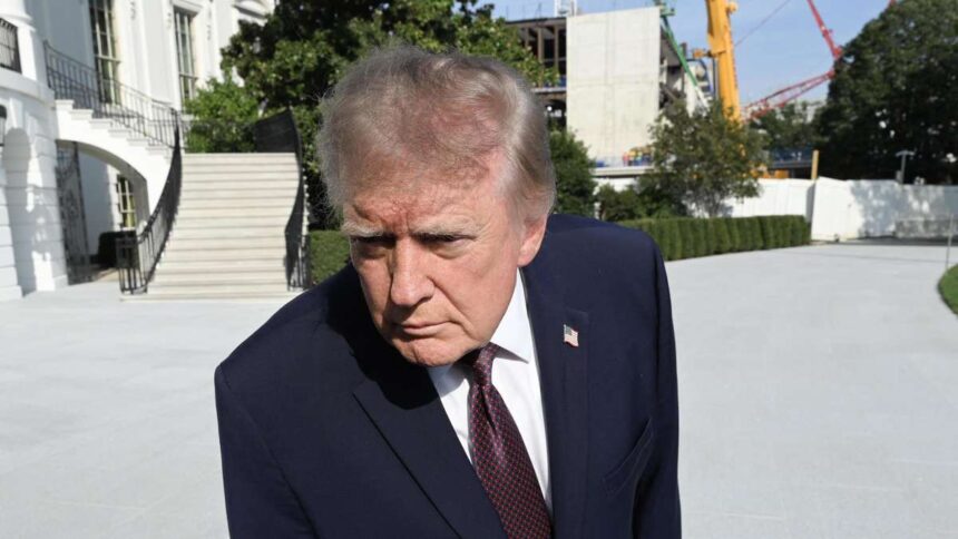 Trump kämpft gegen Midterms-Debakel und verspricht schon wieder Schecks