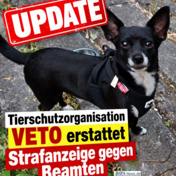 Ludwigshafen: Chihuahua erschossen