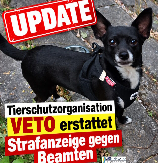 Ludwigshafen: Chihuahua erschossen