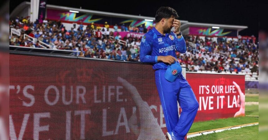 Rashid Khan scripts history; becomes first bowler to take 200 T20I wickets